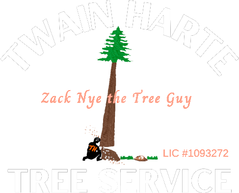 Twain Harte Tree Service