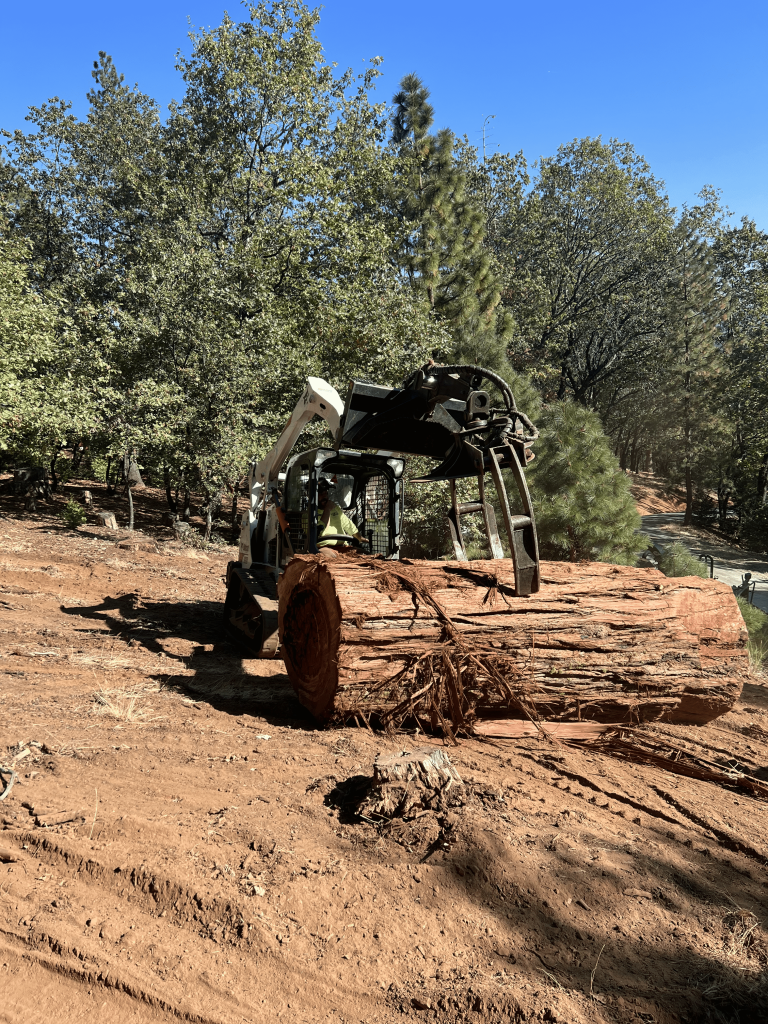 Worker using forestry and land clearing equipment