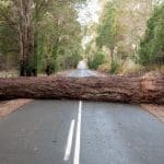 24/7 Reliable Emergency Tree Service When You Need It Most